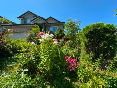 Ground-floor unit, quiet and peaceful neighbourhood. Fully furnished — furniture included: Queen siz...