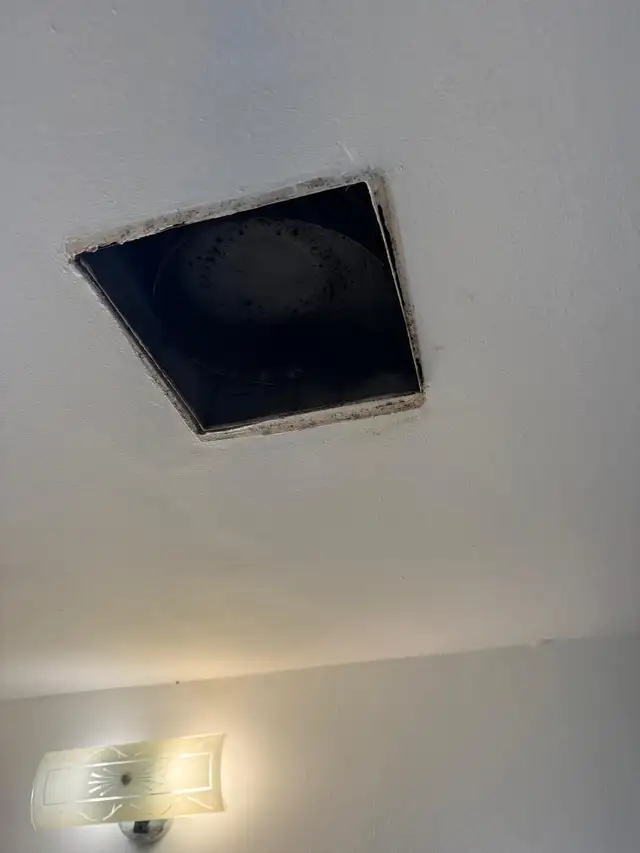 Handyman 64959953747713124