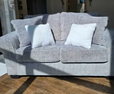 Soft Grey Chenille Broyhill Loveseat Purchased Oct 2024 Non Smoking Home