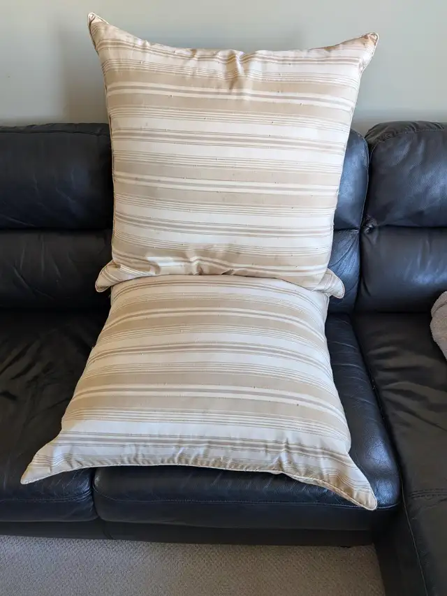 Two Large Pillows65669428034690125