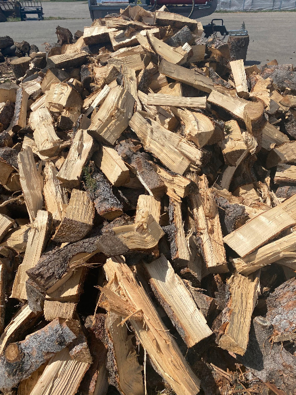Cheap Mixed Firewood in Other in Calgary - Image 2