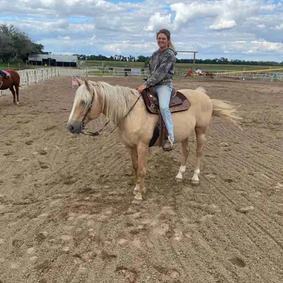 16 year old grade mare, View more