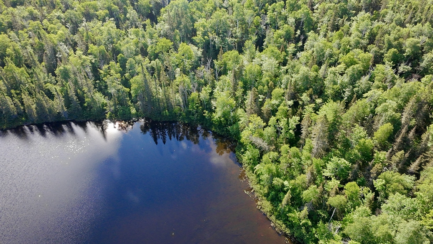 Votre domaine en pleine nature – 11,84 ha avec lac au Saguenay — photo 1