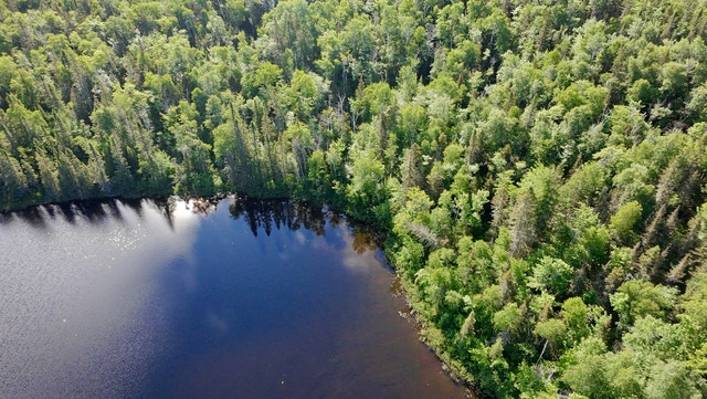 Votre domaine en pleine nature – 11,84 ha avec lac au Saguenay — photo 1