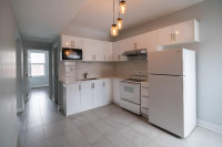 RENOVATED 5 BEDROOM 2 BATH UNIT IN DOWNTOWN TORONTO (2ND/3RD FL)