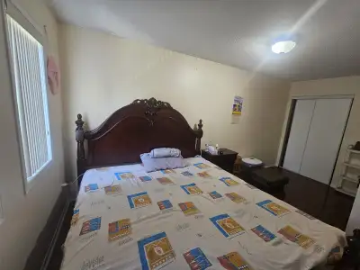 Single room for rent
