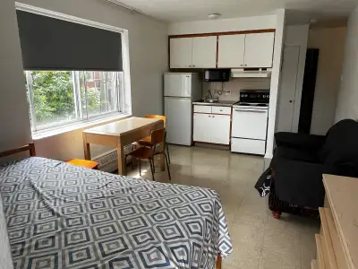 Disponible pour occupation au 1 juillet, ce grand studio ensoleillé inclus les meubles et electros....