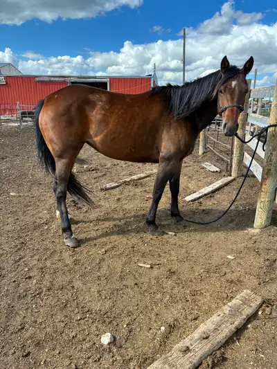 Ranch & Barrel prospect, View more