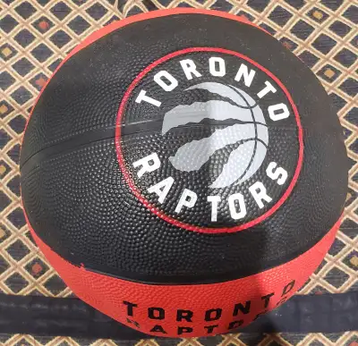 Basketball: toronto raptor, View more