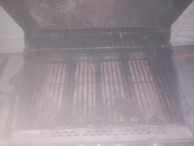 Barbecue grill594166107414865921