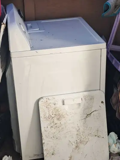 free dryer , View more