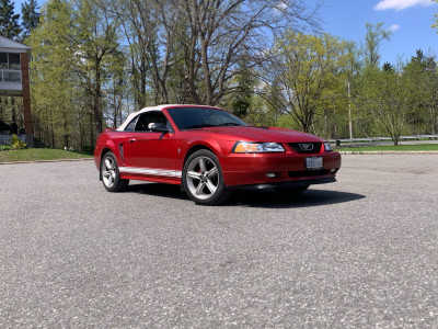 2000 Ford Mustang Convertible 