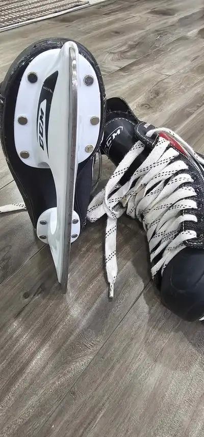 Ice Skates, View more