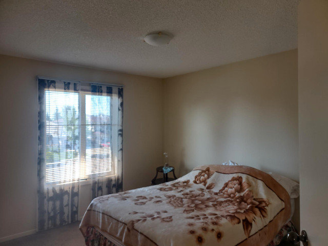Room for rent Terwillegar in Luxury Home in Room Rentals & Roommates in Edmonton - Image 3