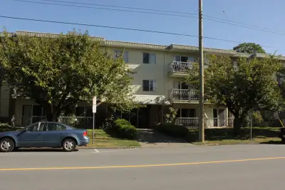 Large 1 bedroom apartment  -  NOW SHOWING!