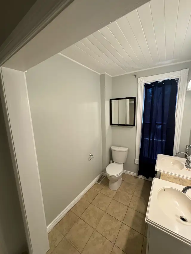 Professional Painting Services605486214409758727
