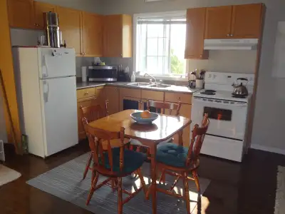 One Bedroom Apartment. Open concept kitchen/living room. Located on the first floor of a small well...