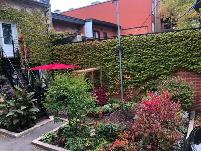 PLATEAU MONT ROYAL