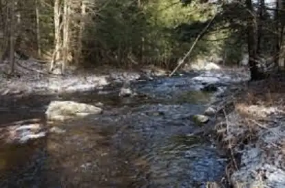 LOTS FOR SALE/TERRAINS À VENDRE - CHEMIN GILBERT, EASTMAN,  QC in Land for Sale in Sherbrooke - Image 23