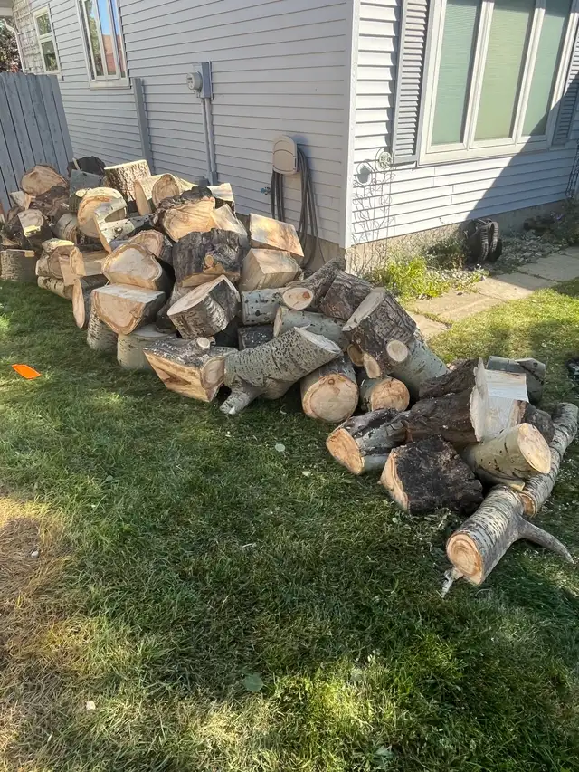 free firewood 