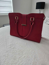 Danier Document Purse 