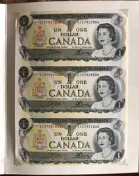 Collective 1973 Canadian 1$  Bank notes