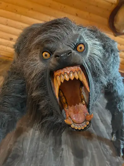 American Werewolf in London Full Size Prop, View more