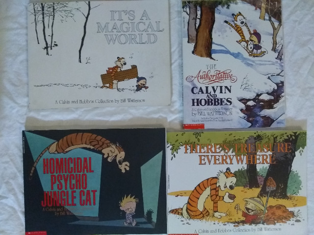 Calvin and Hobbes Books in Comics & Graphic Novels in St. Catharines