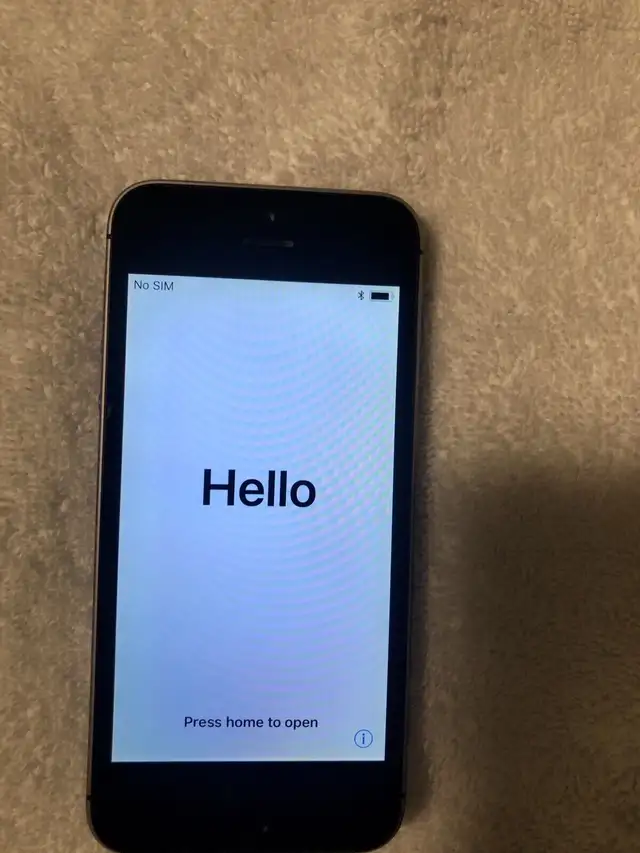 iPhone 5s with an Otterbox and an extra case 62863734263169124