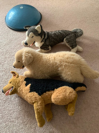 Large Stuffed dogs
