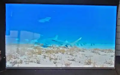 50"4K LG 50UQ7570 Smart Tv (30655045), View more