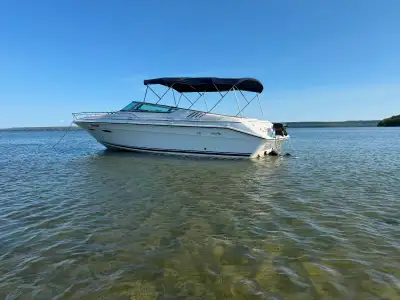 Looking to sell my 1989 sea ray 260cc It has a merc 454 7.4L Bravo 1 drive New upholstery summer of...