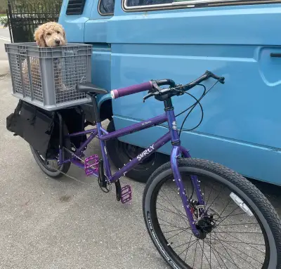 Surly Big Dummy Cargo Bike - Size Small, View more
