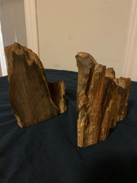 Petrified wood bookends
