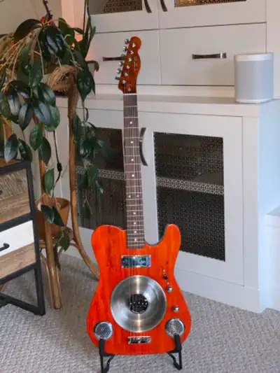 This Telecaster styled guitar I made using my dogs bowl as the resonator cone and it sounds amazing....