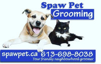 Certified Dog and cat grooming
