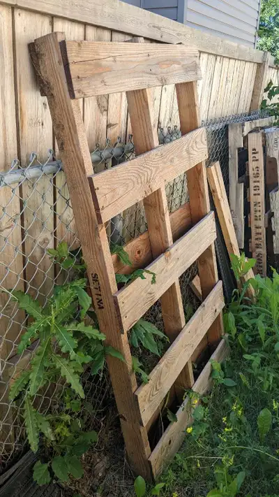 Pallets - free , View more