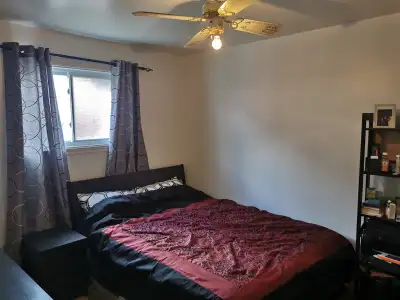 Chambre à louer dans un 4 et demi chauffé ,éclairé , connecté . A proximité de plusieurs arrets maje...