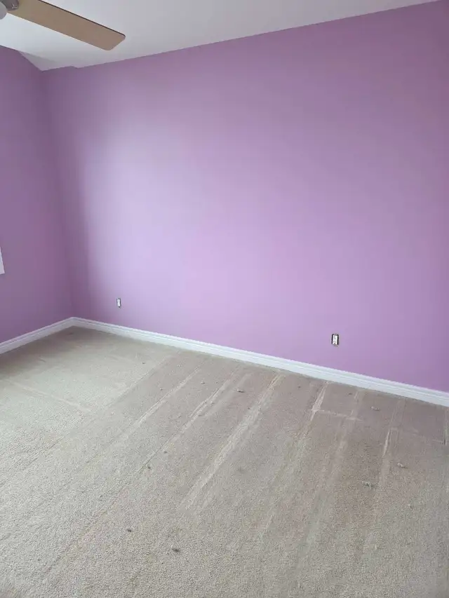 Paint - Novel Lilac in Painting & Paint Supplies in Hamilton - Image 4