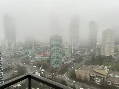 Welcome to your new home in the sky. This spacious 3-bedroom, 2-bathroom apartment offers 1,260 sq f...