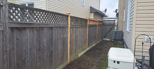 Fence repair, deck repair. in Fence, Deck, Railing & Siding in Ottawa - Image 4