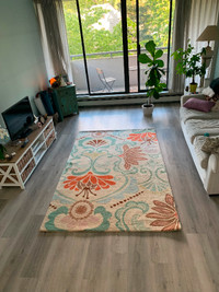 Clean Rug 5' x 8' ( just cleaned by the professional company)