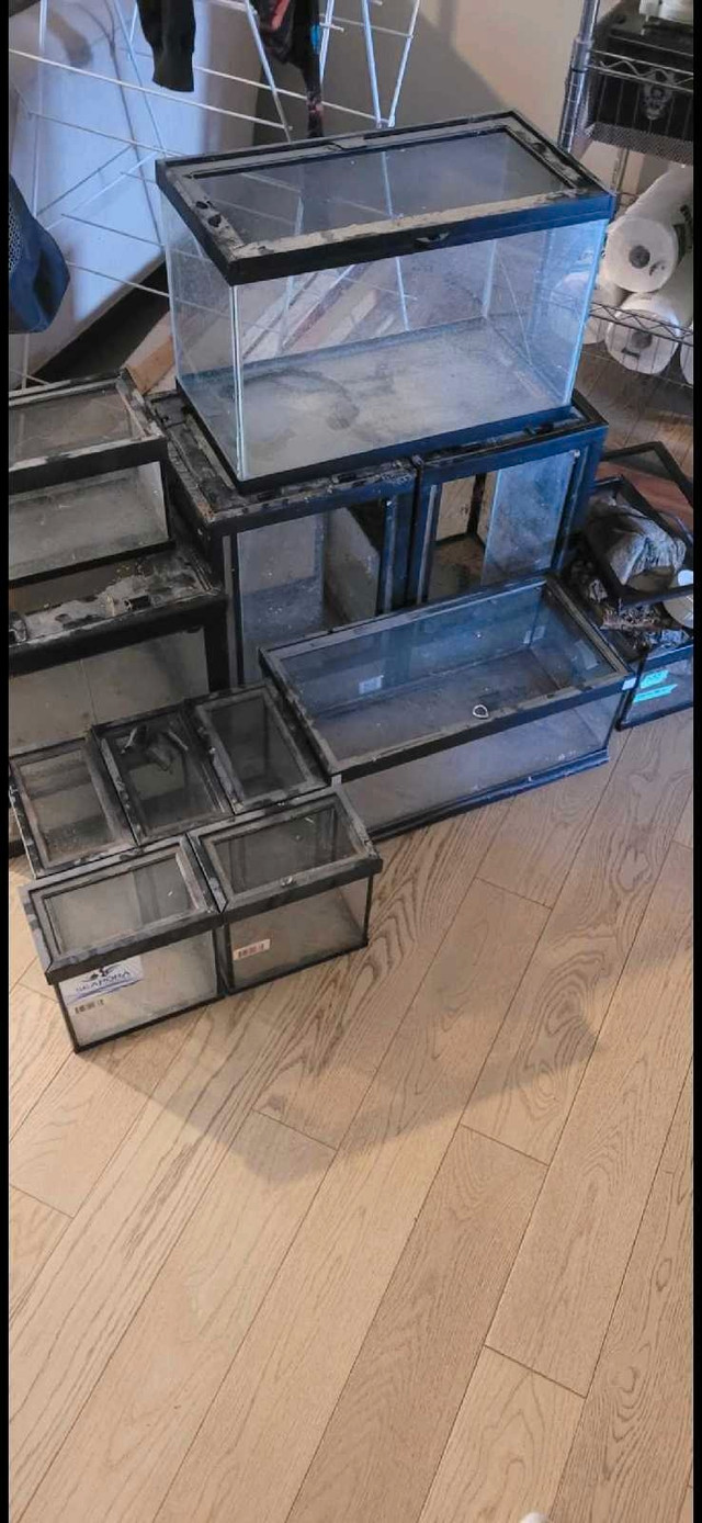 Looking for free or very cheap tanks in Free Stuff in Peterborough