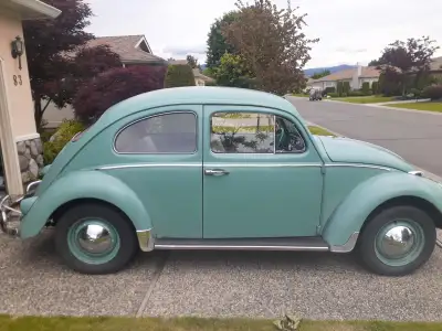 1961 Beetle for sale. Farm vehicle from Alberta with matching numbers, 6 volt, original motor with 4...