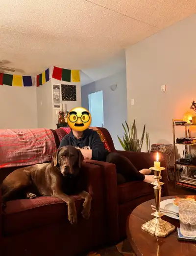 Looking for someone for a private room in my 2 bed apartment in beltline Hi, I’m looking for a roomm...
