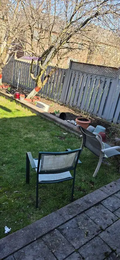 worker for backyard help in Scarborough , View more