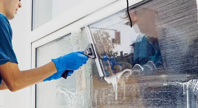 Professional Window Cleaning530290526504898561