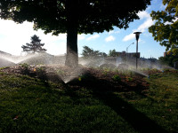 Lawn sprinkler / irrigation system installer
