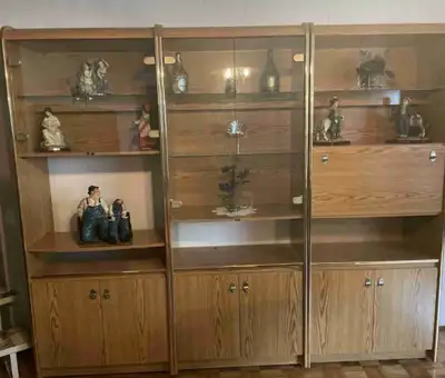 Display Cabinet with tons of storage , View more