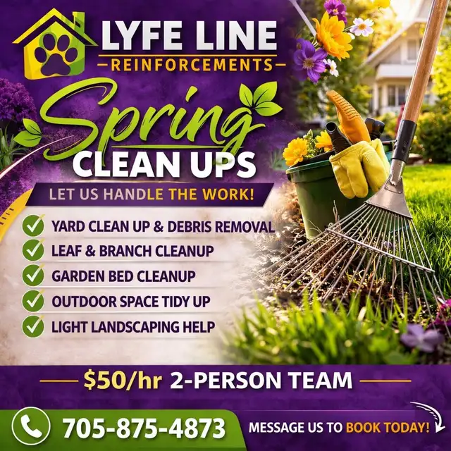 Spring Clean Ups463247034045573120